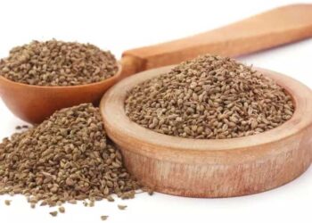 ஓமத்தின் 15 மருத்துவ பயன்கள் மற்றும் ஆரோக்கிய நன்மைகள்