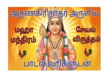 சேவல் விருத்தம் – அருணகிரிநாதர் அருளியது