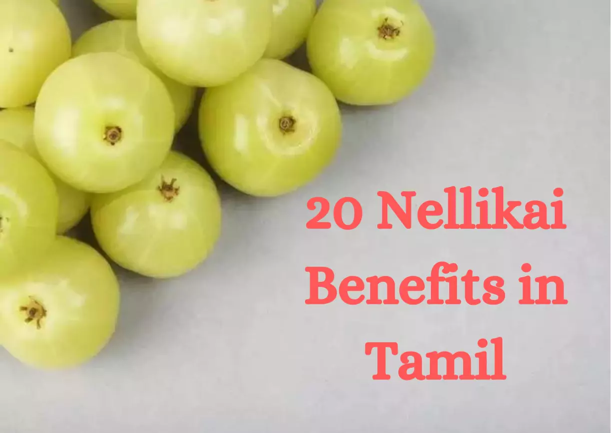 20-nellikai-benefits-in-tamil