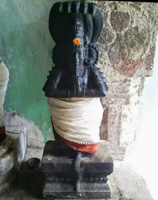 pathanjali-munivar