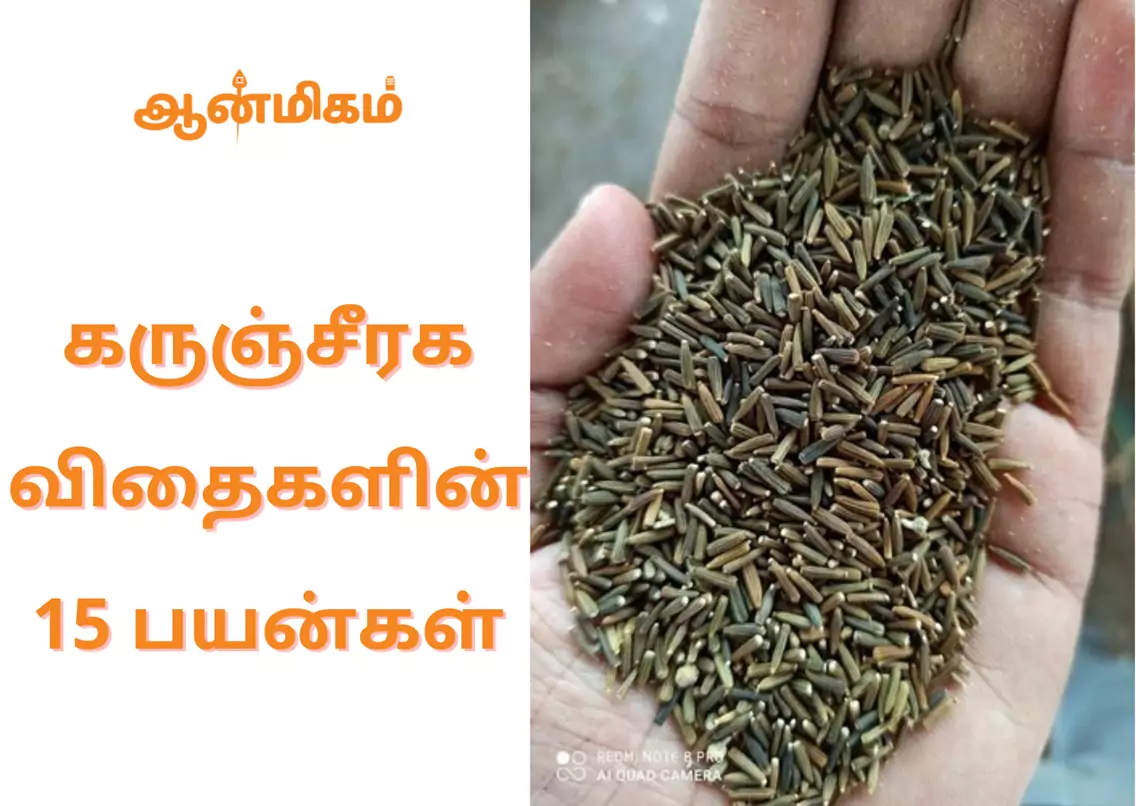 uses-of-karunjeeragam-in-tamil