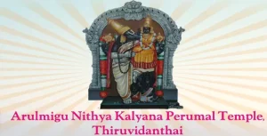 nitya-kalyana-perumal-temple-tiruvidandhai