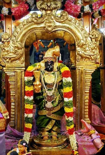 thiruvedandhai-perumal-temple-thayar