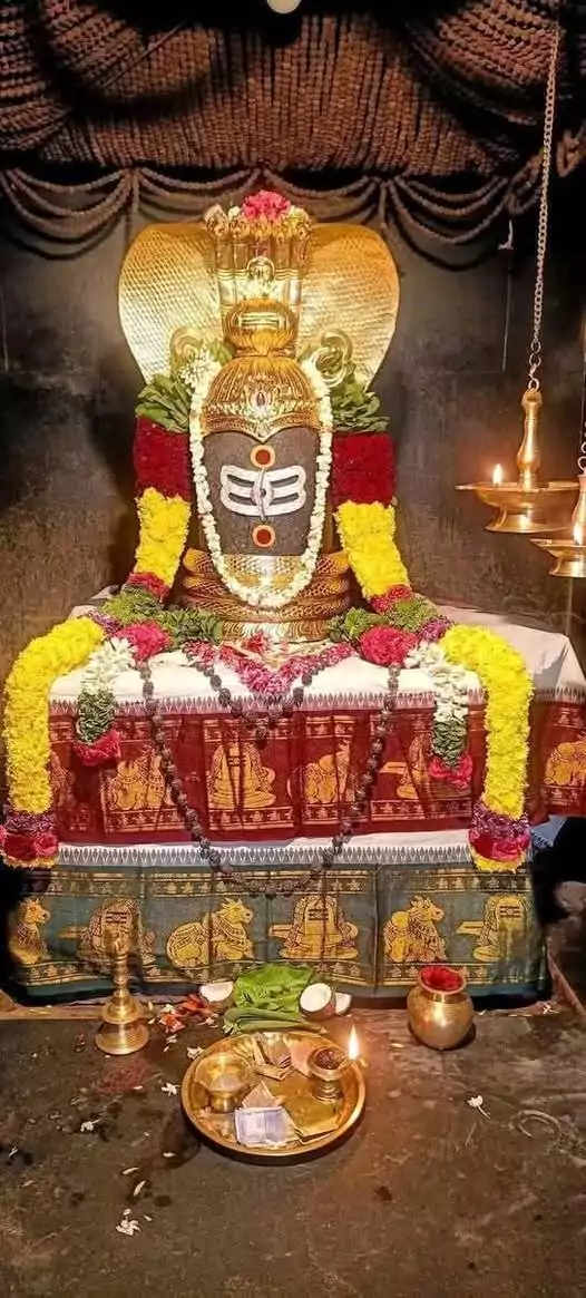 thiruvalidhayam-thiruvalleswarar-temple-shivan