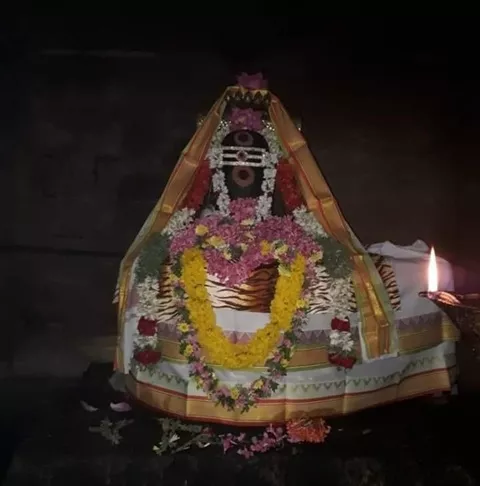 thiruchitrambalam-periyanayagi-amman-temple-purathanavaneswarar