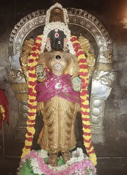 thirukokarnam-pragadambal-amman