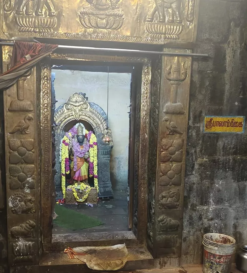 thiruverkadu-vedapureeswarar-temple-balambika-amman