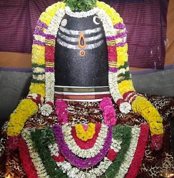 thiruverkadu-vedapureeswarar-temple-shivan