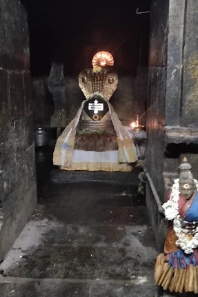 nageswara swamy at nageshwara temple kundrathu